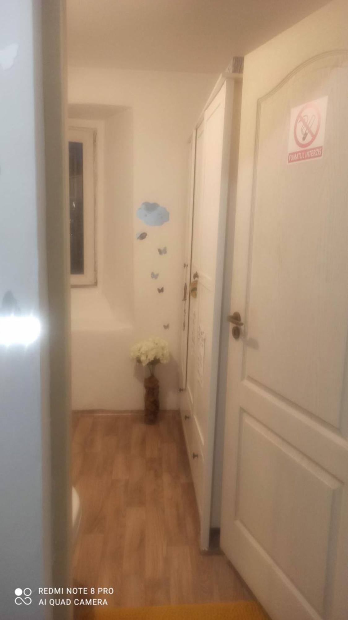 Studio Pe Somes Kluż-Napoka Zewnętrze zdjęcie